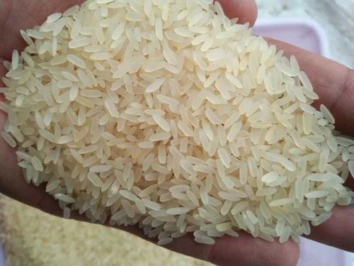 White Short Grain Raw Rice, PP Bag