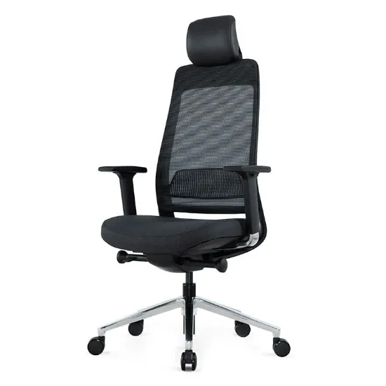 Ergonomic Office Chairs