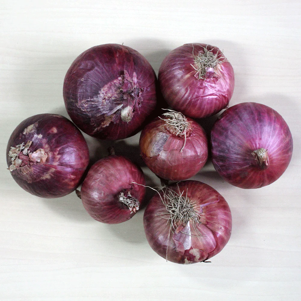 Onion