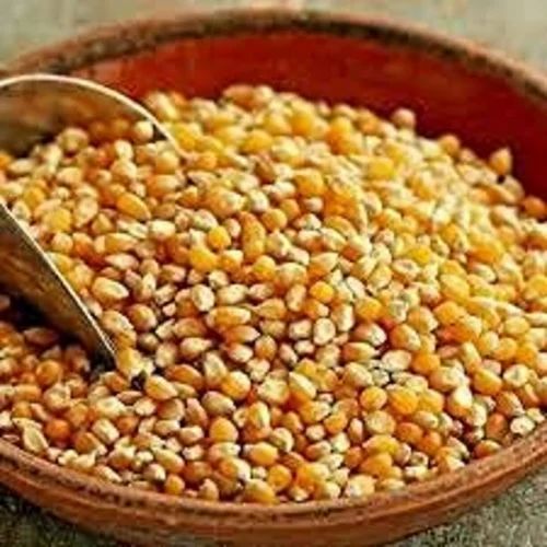 Raw Maize