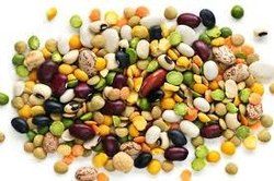 Indian Organic Pulses, No Genetic Engineering