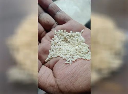 FORTIFIED RICE