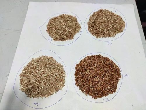 Organic Wild Rice