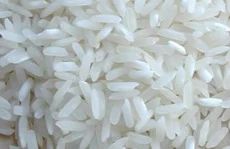 Jaya Rice