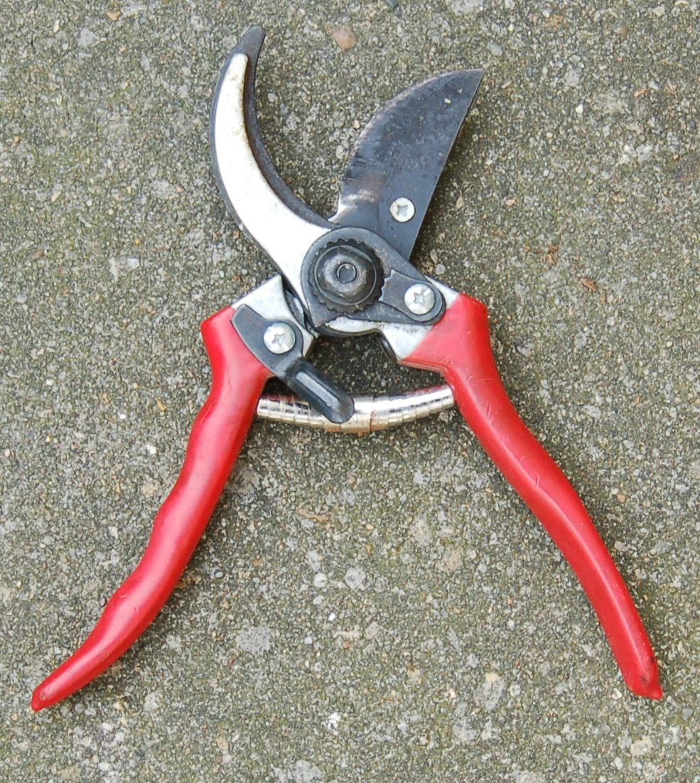 Pruning Secateurs