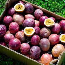 Passion fruit