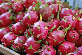 Dragonfruit