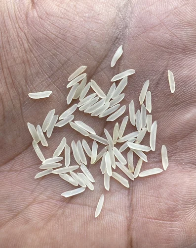 Sarbati Sella Rice