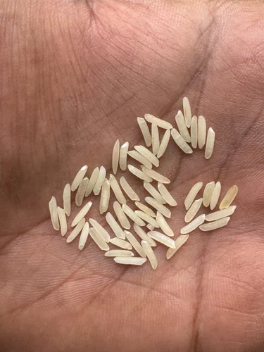 Sharbati Steam Basmati Rice
