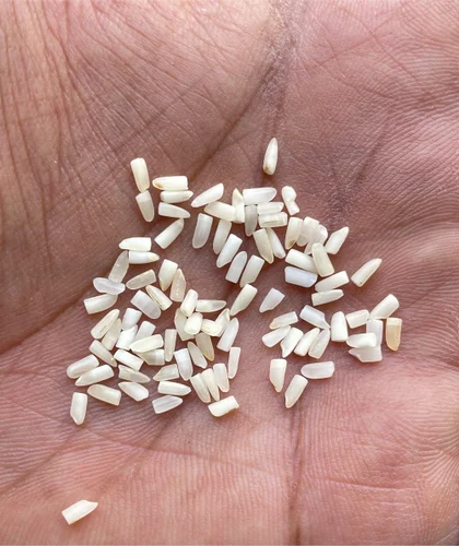 1121 Steam Basmati Rice ( Mini Dubar )