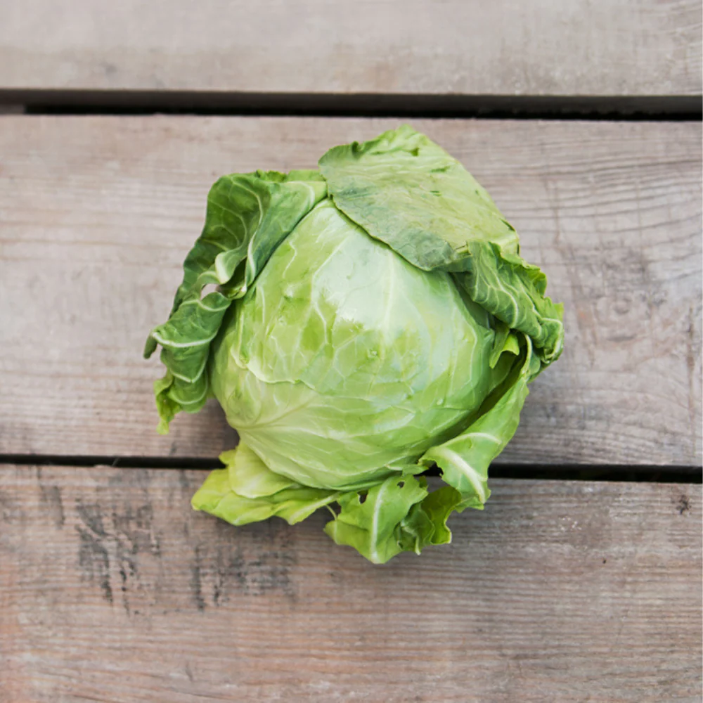 Green Cabbage