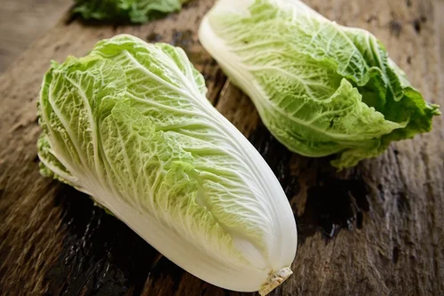 Fresh Chinese Cabbage