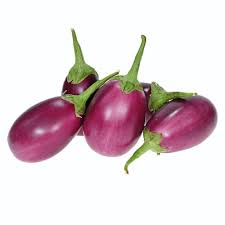 Brinjal