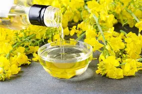 Rapeseed Oil