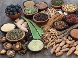 Indian Ayurvedic Medicine