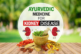 Ayurvedic Kidney Medicine