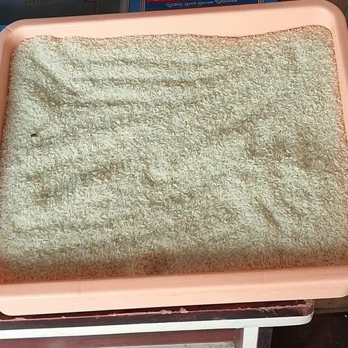 Hmt Rice