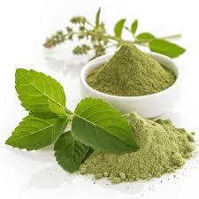 Tulsi Powder