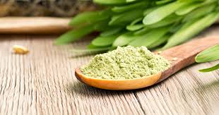 Barley Grass Powder