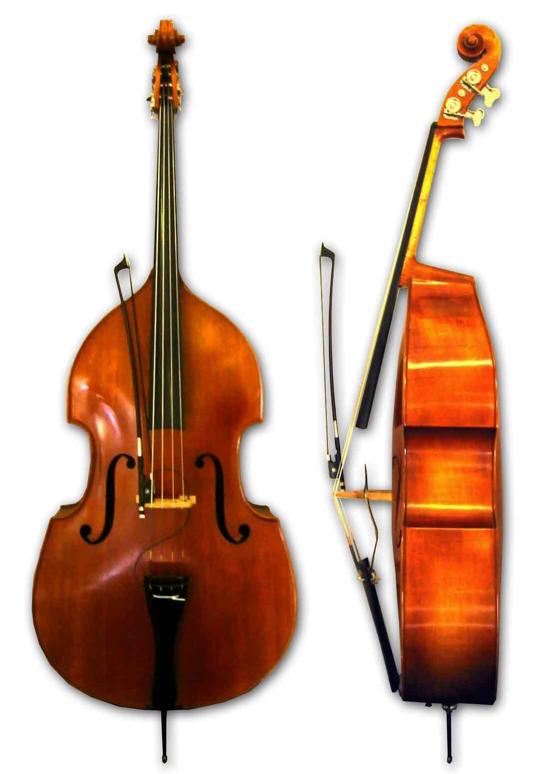 Upright Double Bass Gut Strings