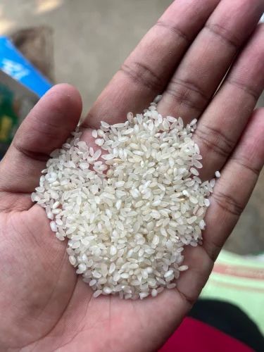 Asssam Joha Rice