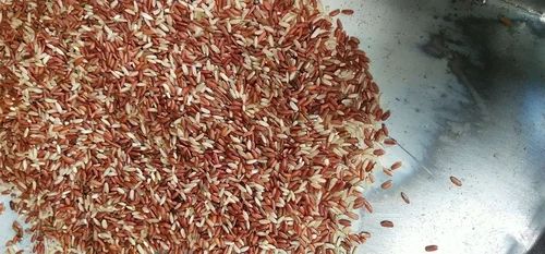 Rajamudi Rice, Packaging Size: 5 Kg