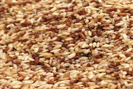 Organic Rajamudi Rice