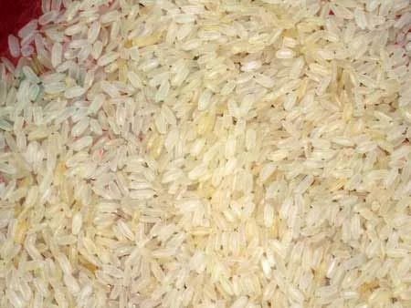 Ir8 Rice