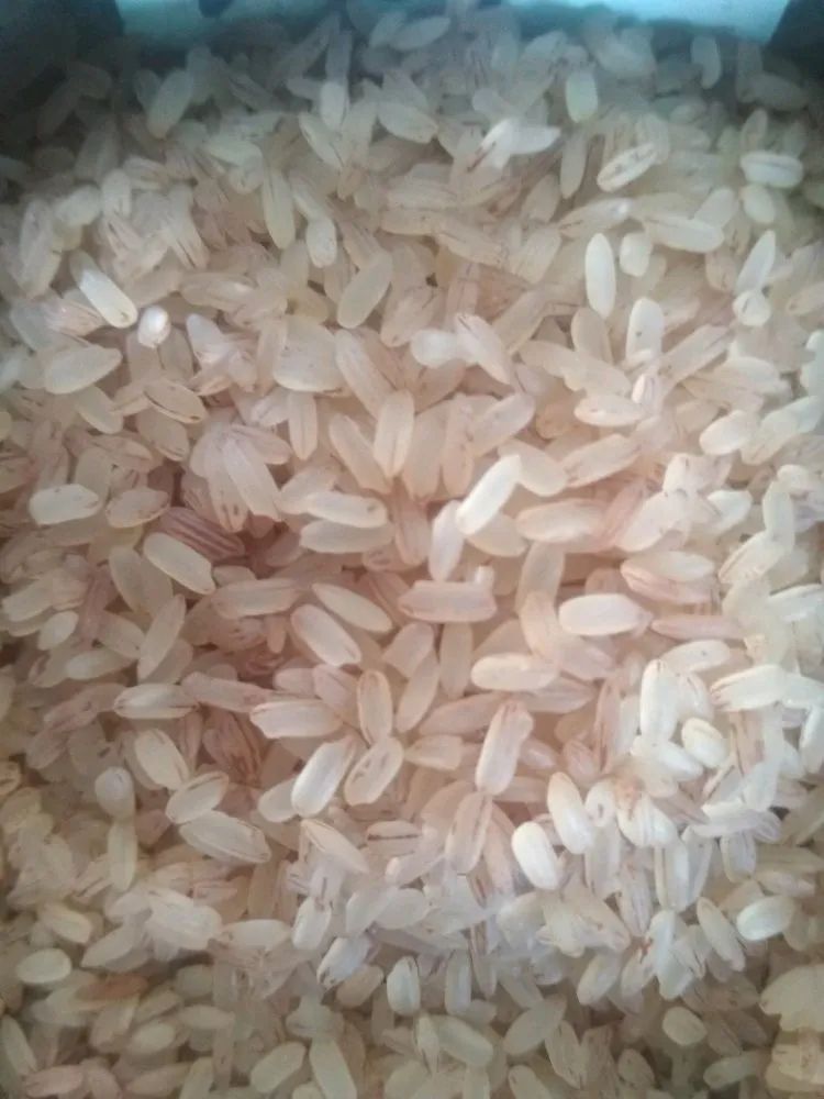 Surekha Bell Rice