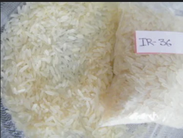 IR36 Rice
