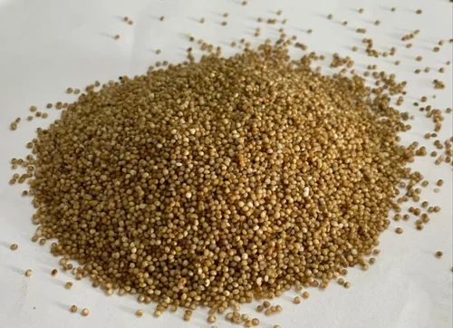 Kodo Millet ( Non germinating ), Packaging Size: 25 kg, Gluten Free
