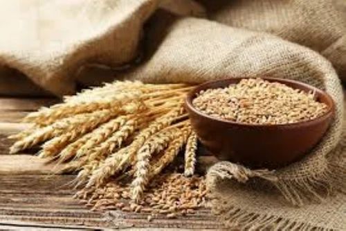 Hydrolyzed Wheat Gluten
