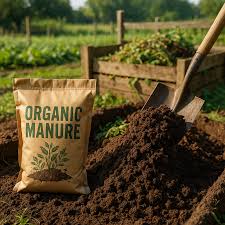 Bio Organic Manures