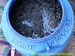 Liquid Manure