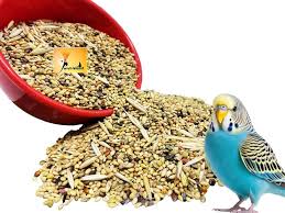 Bird Food
