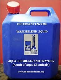 Detergent Enzyme