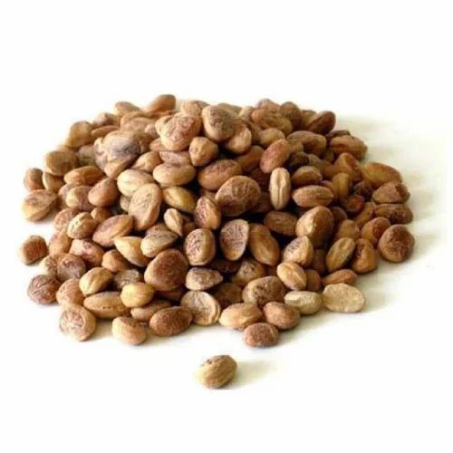 Chironji (Charoli) Dry Fruit, Form: Packed