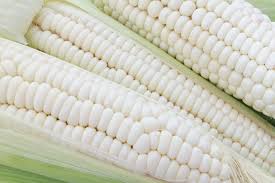 White corn