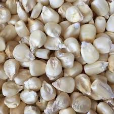White maize