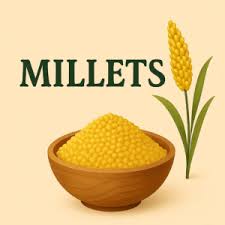 Yellow millet