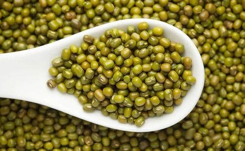 Loose Moong Seed, Dried