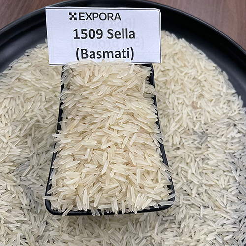 1509 Basmati Rice