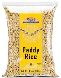 Paddy Rice