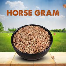 Horse Gram