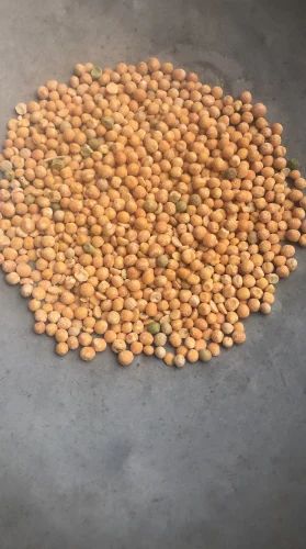 Matar Besan