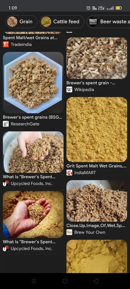 Malt Flour