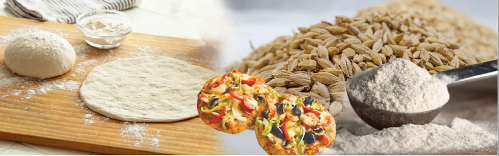 Diastatic Malt Flour