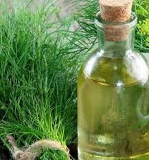 Dill Seed Oil