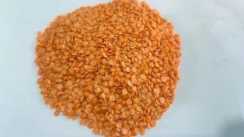 Organic Red Masoor Dal, Dried