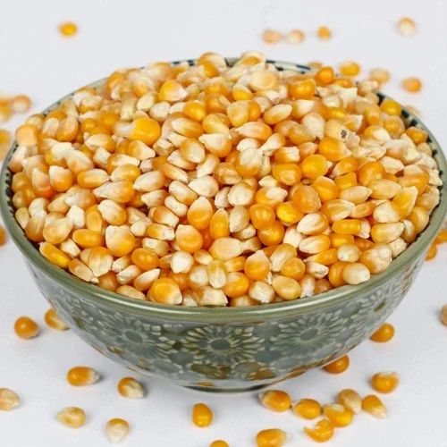 Raw Hybrid Maize